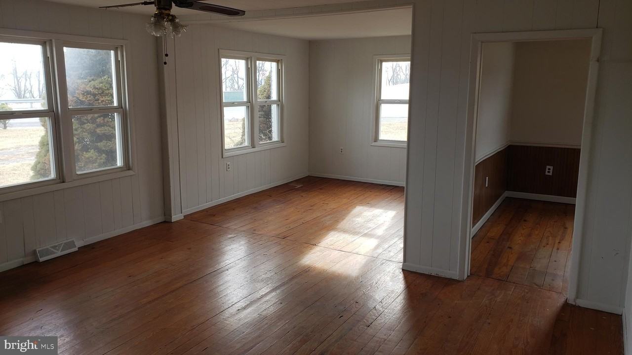 19 Laverne Dr - Photo 7 of 14