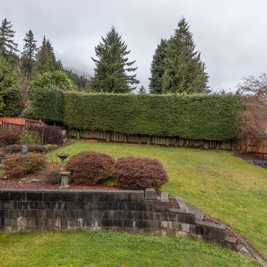 1234 Chamberlain Drive - Photo 3 of 24