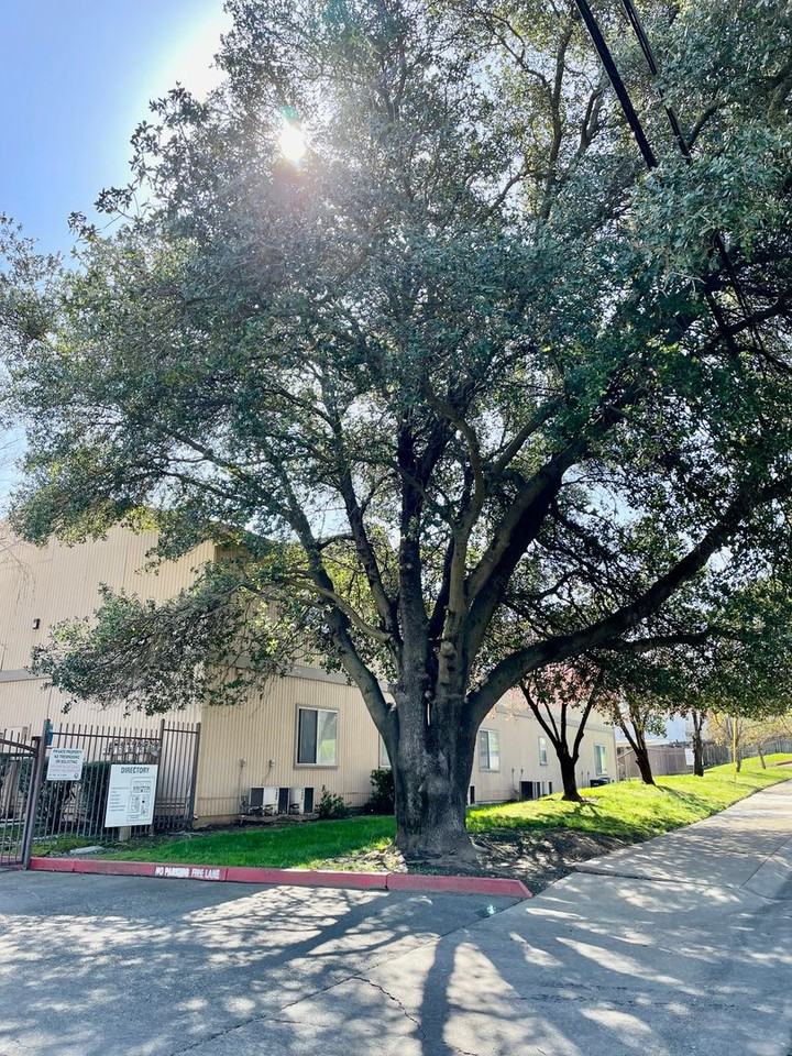 Hollister Apartment Complex - Photo 4 of 17