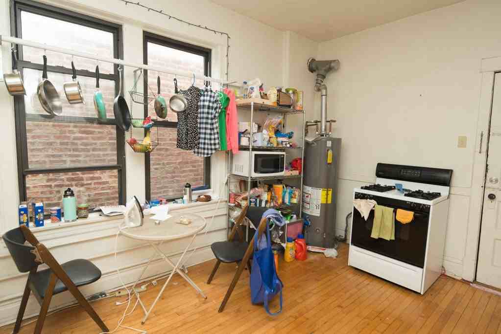 1927 W Schiller St #3F - Photo 3 of 20