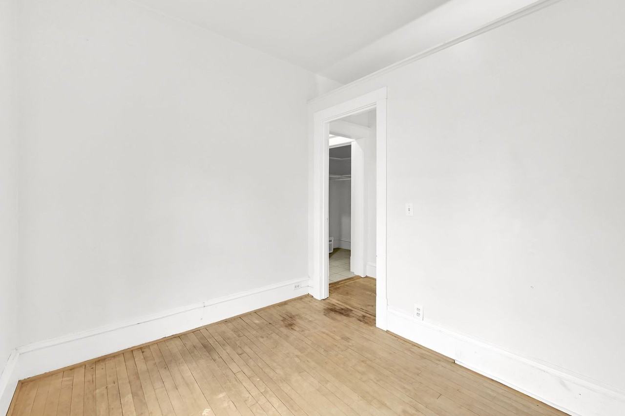 Swallow - Photo 6 of 8