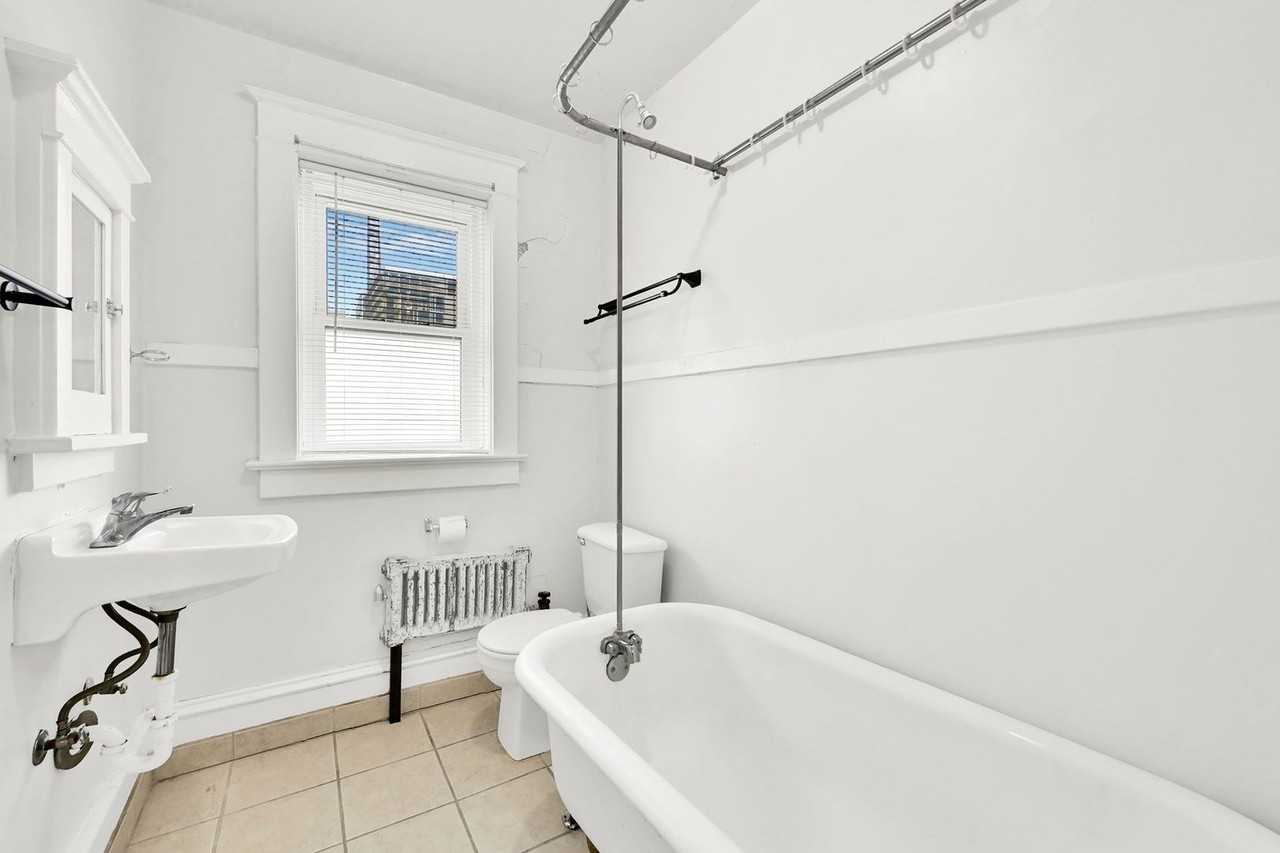 Swallow - Photo 7 of 8