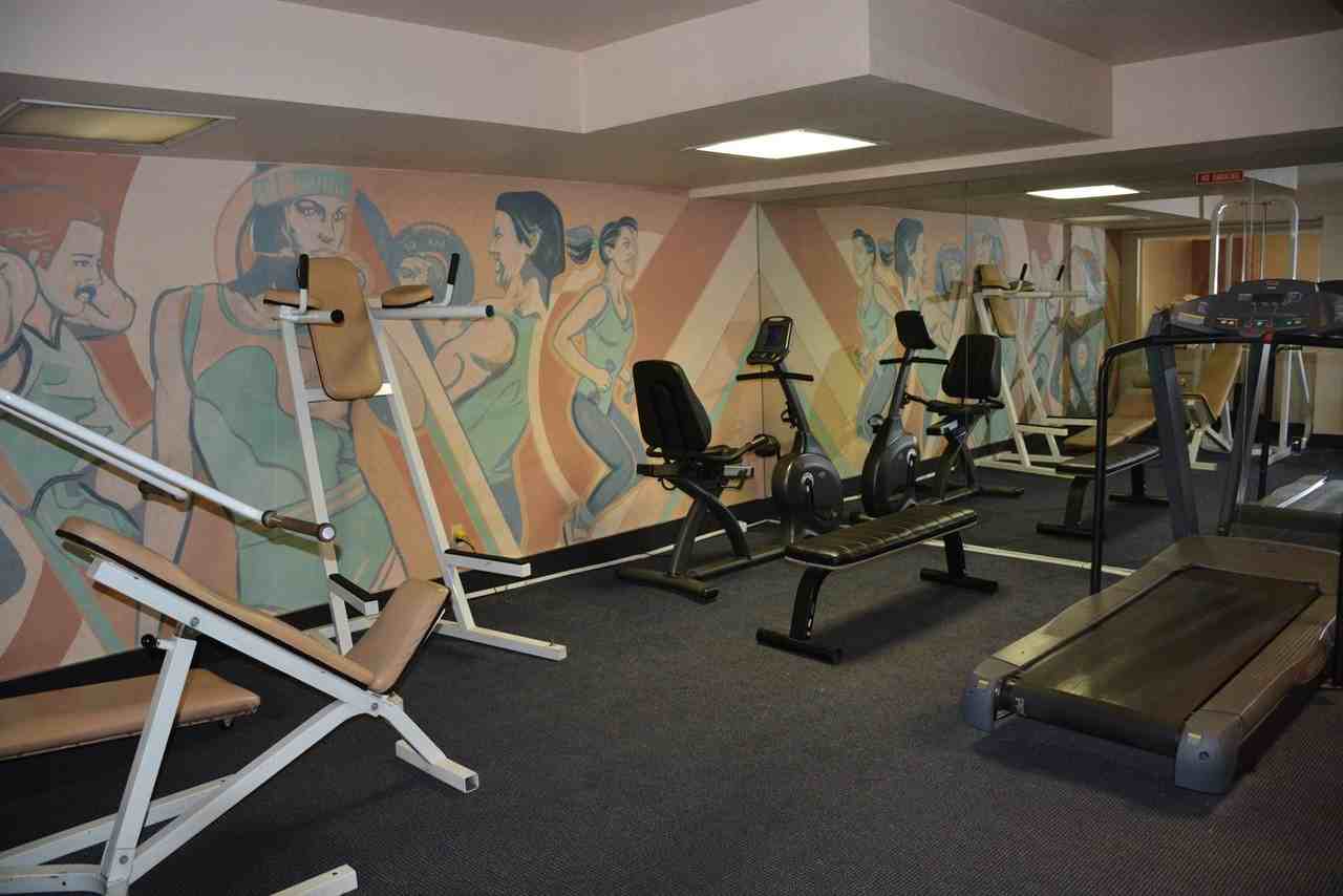 Palm Terrace - Photo 7 of 50