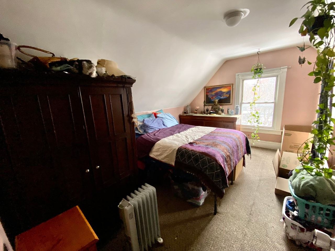 34 Colchester Ave - Photo 5 of 17