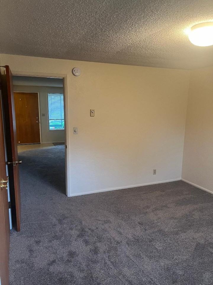 855 Park St - Photo 5 of 18