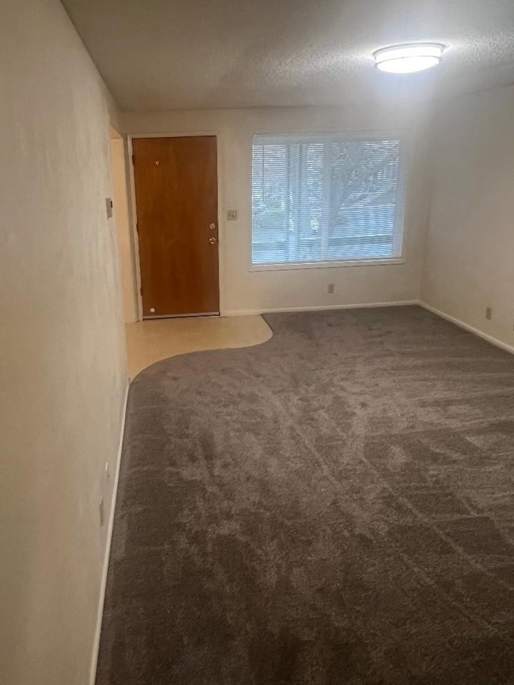 855 Park St - Photo 6 of 18