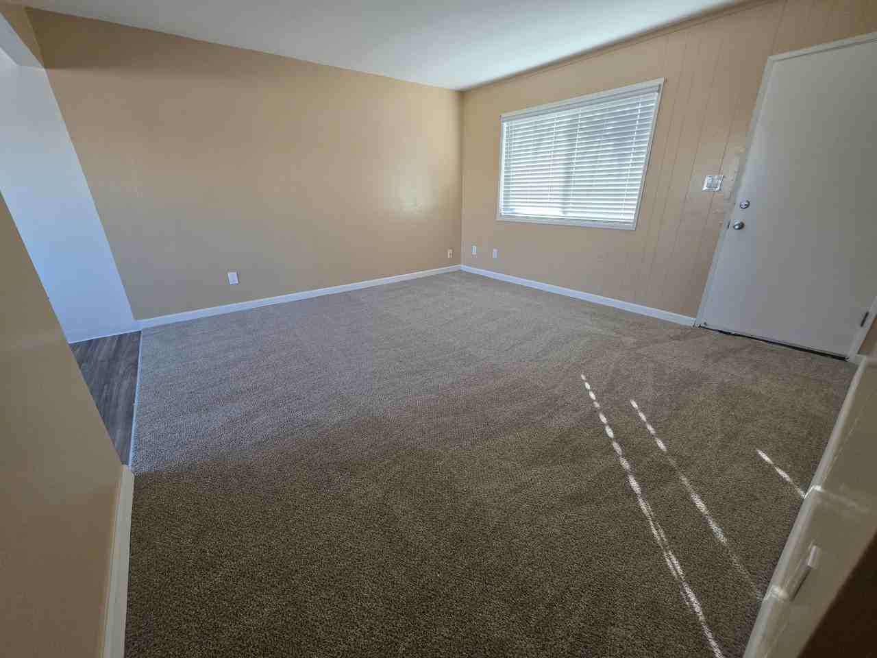 3035 Ivy St #5 - Photo 4 of 14