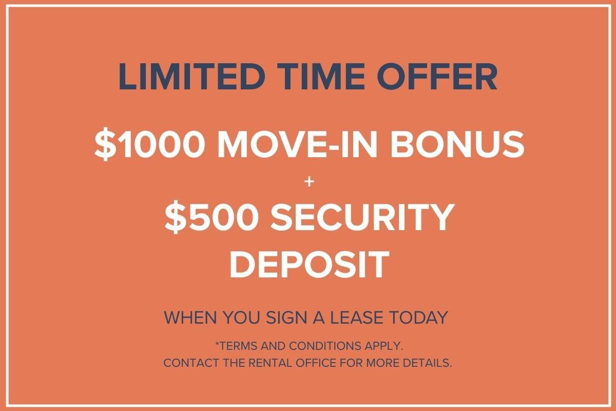 The Point - Photo 2 of 50