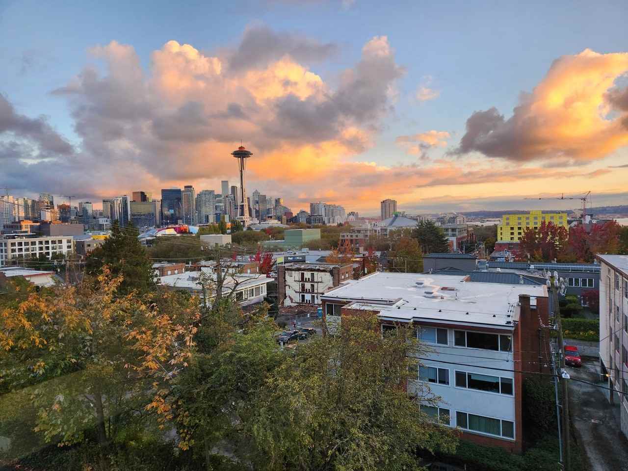 Ella Robert - Photo 2 of 25