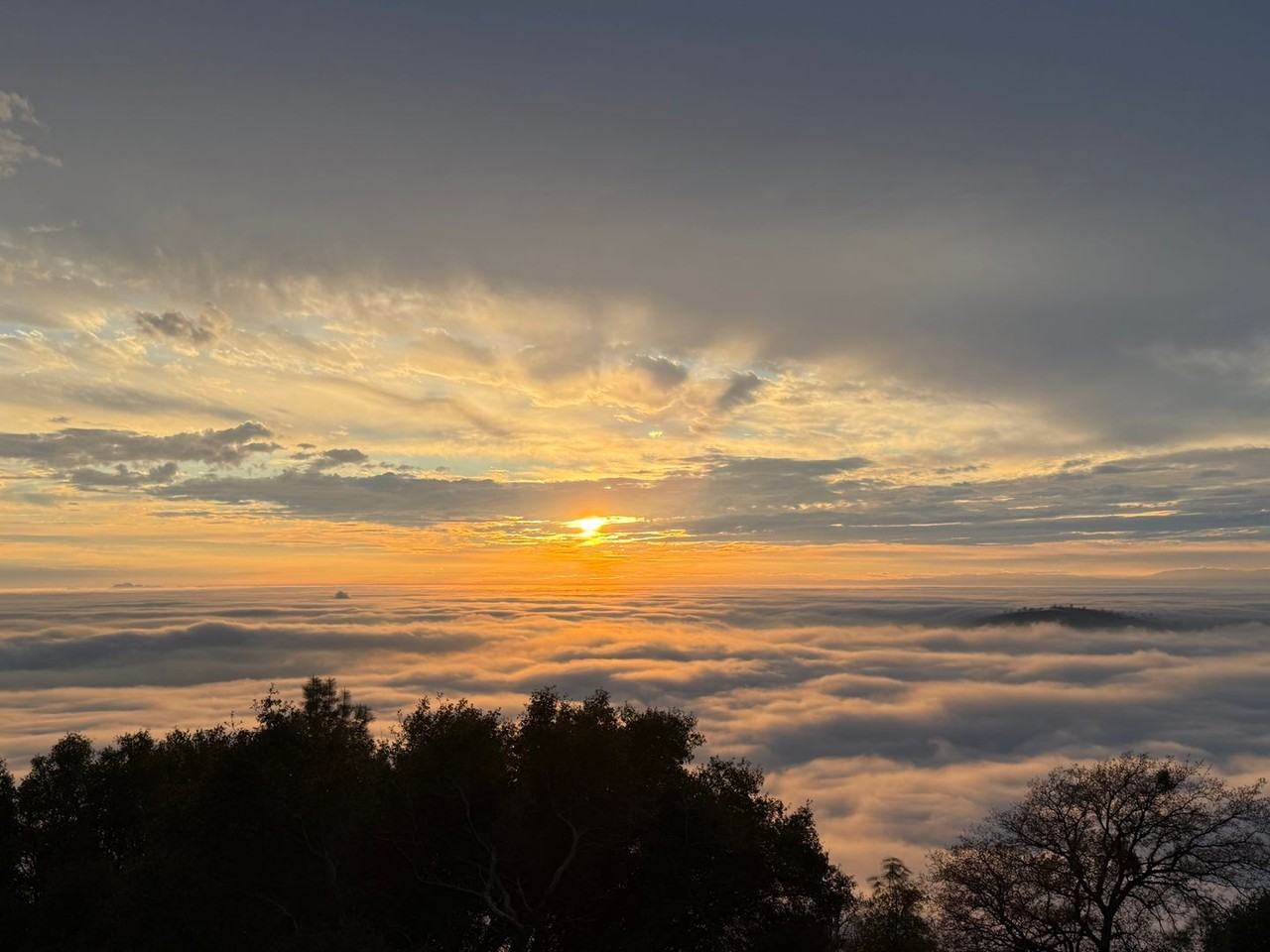 124 Bobcat Saddle - Photo 4 of 22