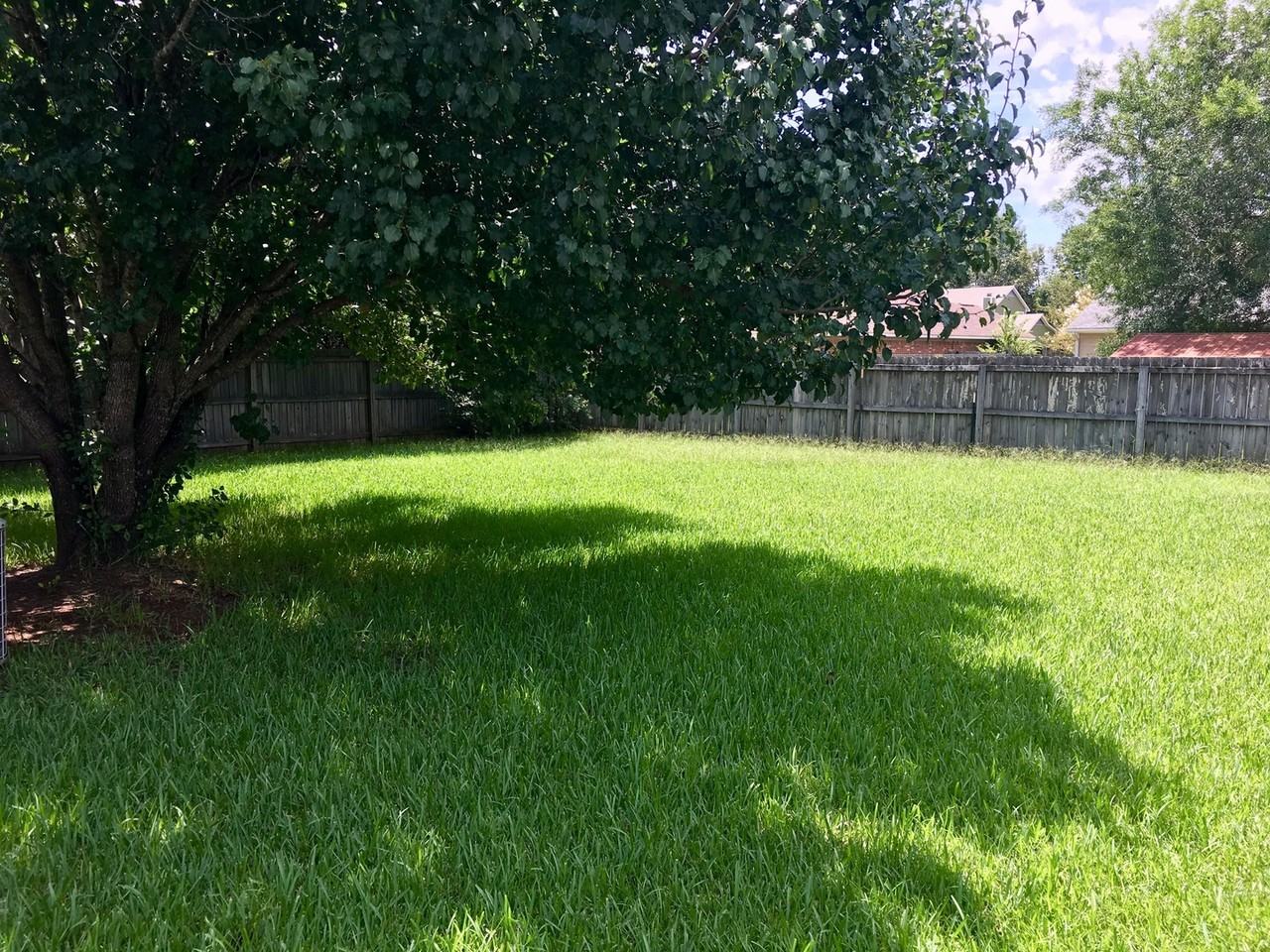 215 Meadow Lark Dr - Photo 2 of 9