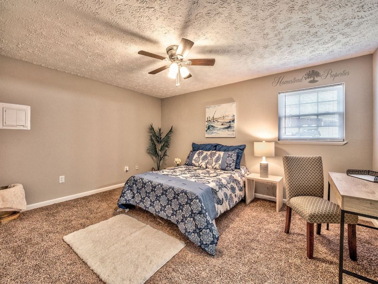 Buccaneer Court - Photo 4 of 50