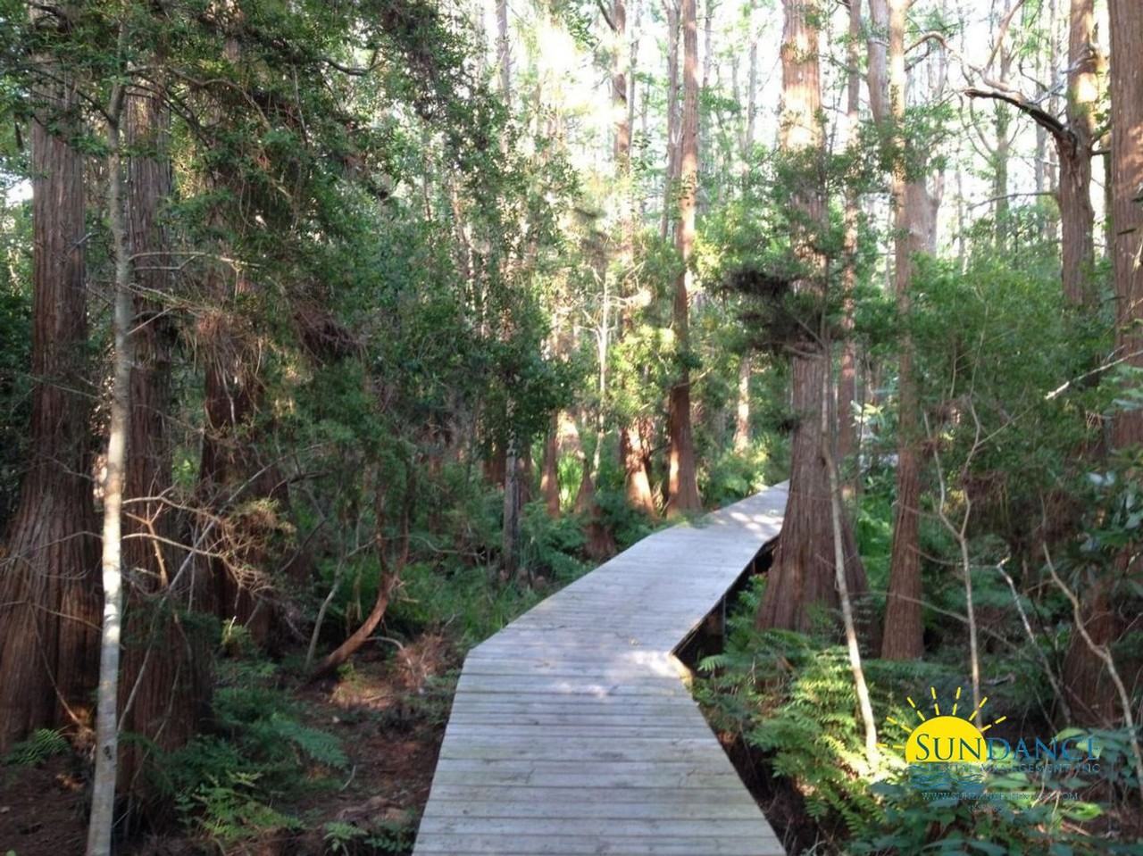 33 Cypress St - Photo 3 of 23