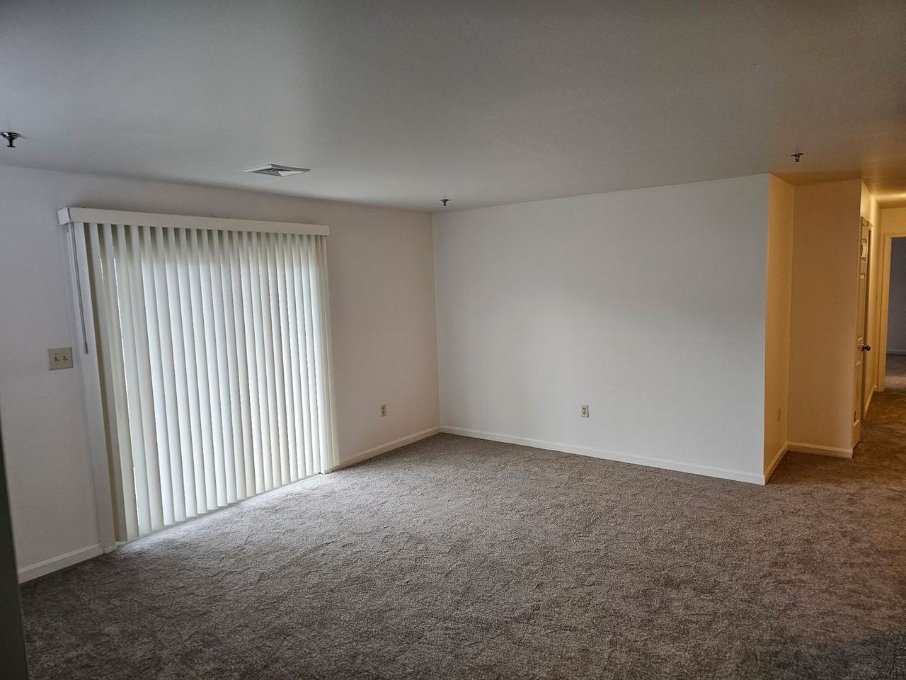 5811 Hidden Lake Dr Apt C - Photo 4 of 10