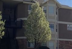 105 W Daybreak Ln - Photo 1 of 1