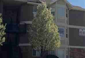 featured image of 105 W Daybreak Ln