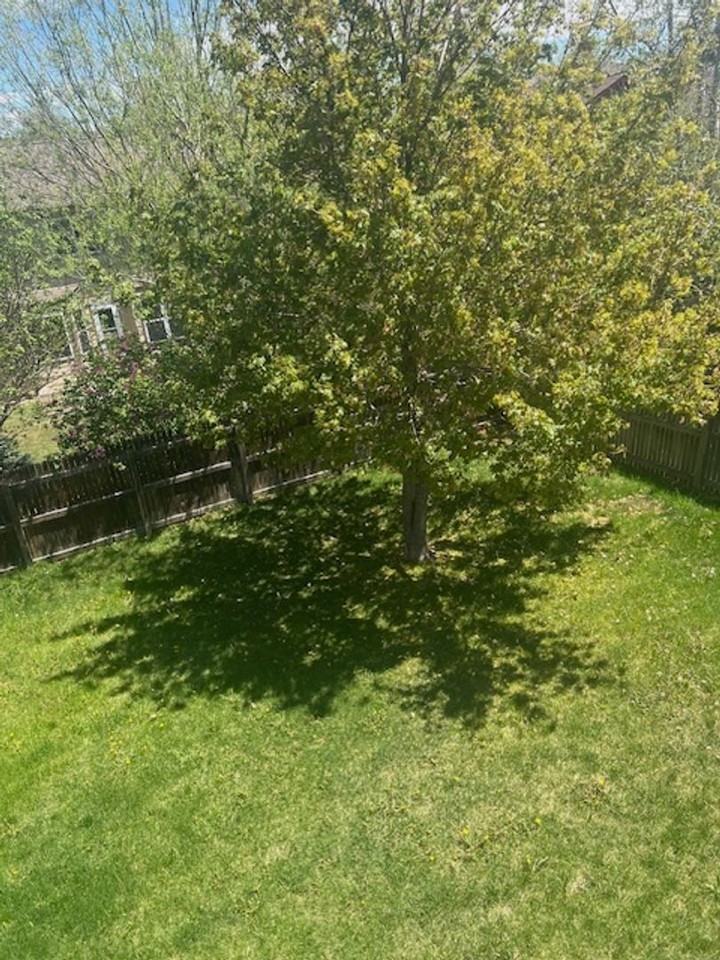 6115 Fescue Dr - Photo 2 of 28