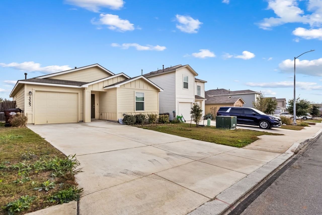 15363 Brown Violetear - Photo 2 of 25