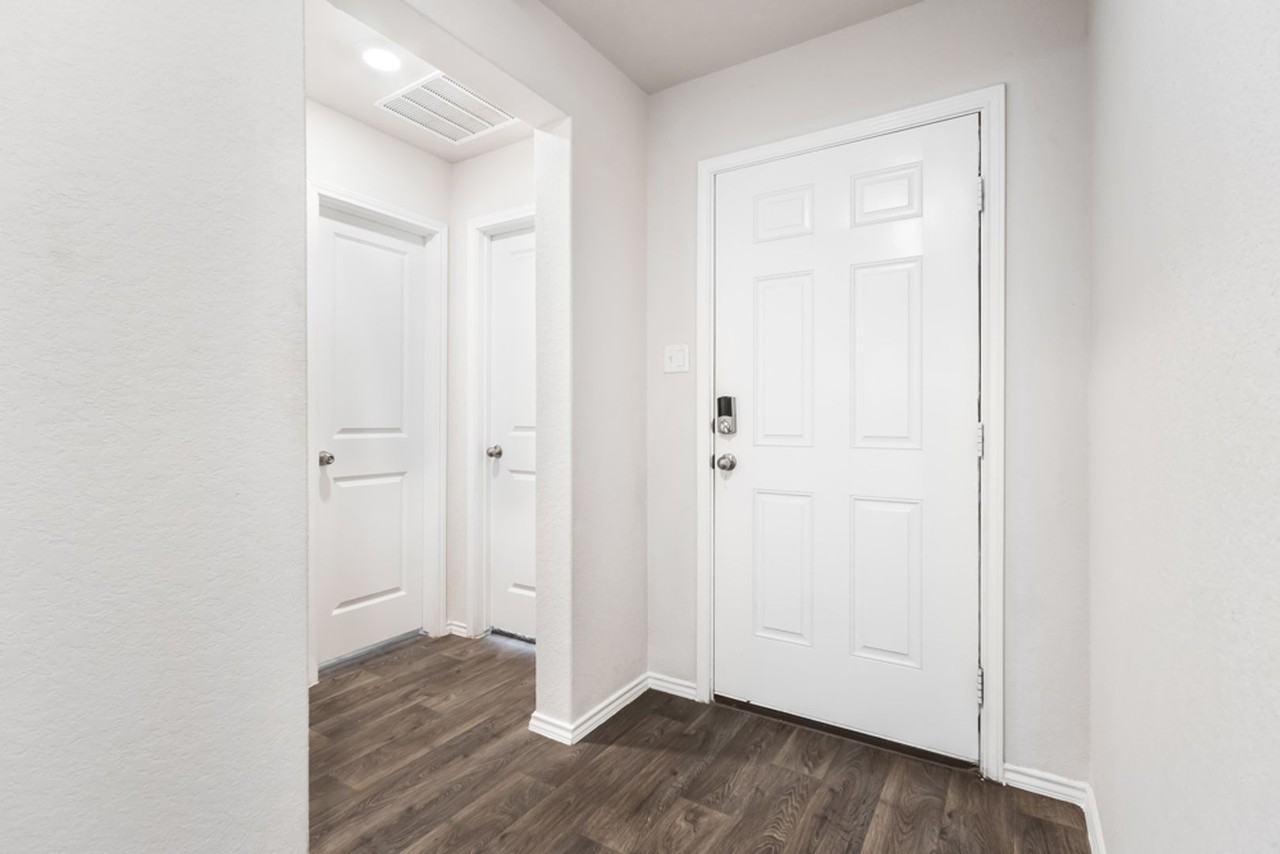 15363 Brown Violetear - Photo 4 of 25