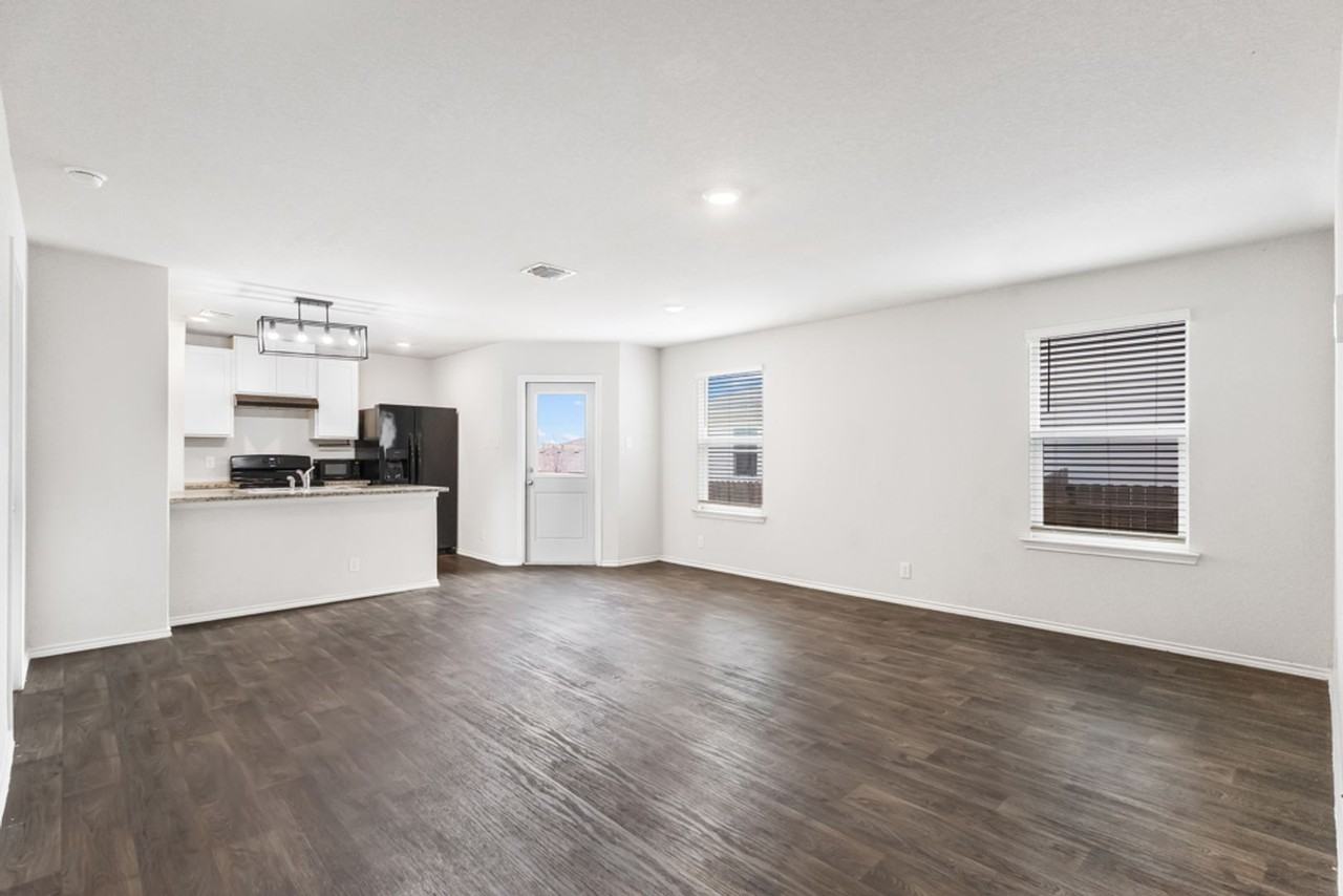 15363 Brown Violetear - Photo 5 of 25