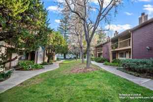 6090 Calle De Amor - Photo 1 of 1