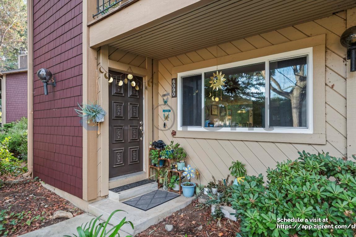 6090 Calle De Amor - Photo 4 of 37