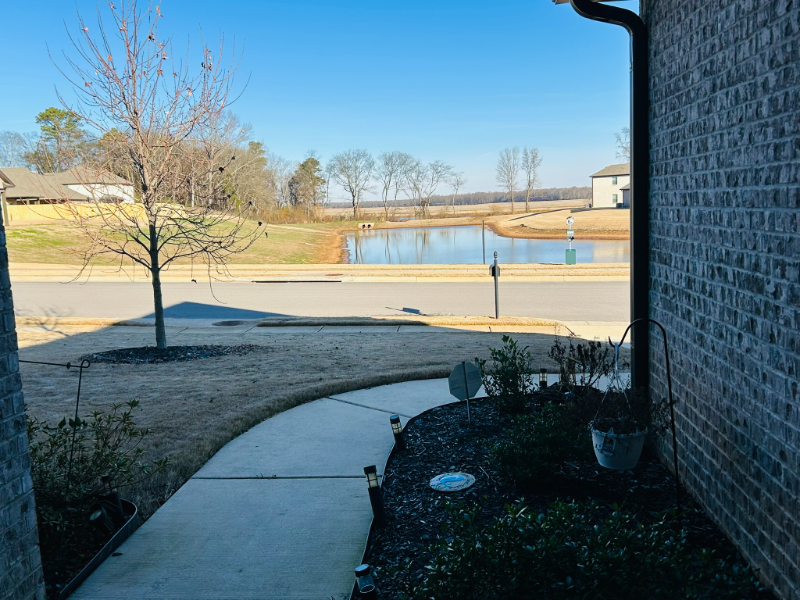 292 Holt St - Photo 2 of 20