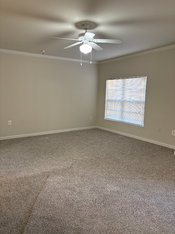 1005 Weybridge Ct #202 - Photo 3 of 20