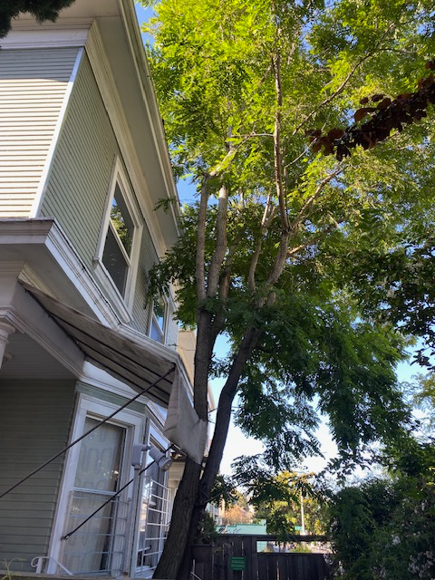 3010 Martin Luther King Jr Way - Photo 3 of 20