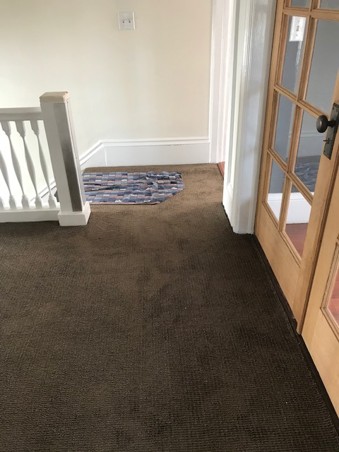 3010 Martin Luther King Jr Way - Photo 6 of 20