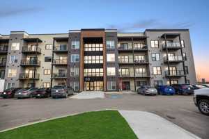 featured image of 100 Lyra Gate