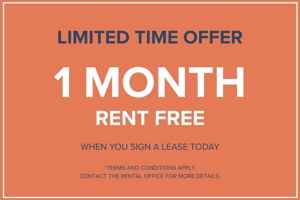 featured image of 411 Duplex Ave