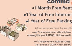 Comma King George - Photo 1 of 1