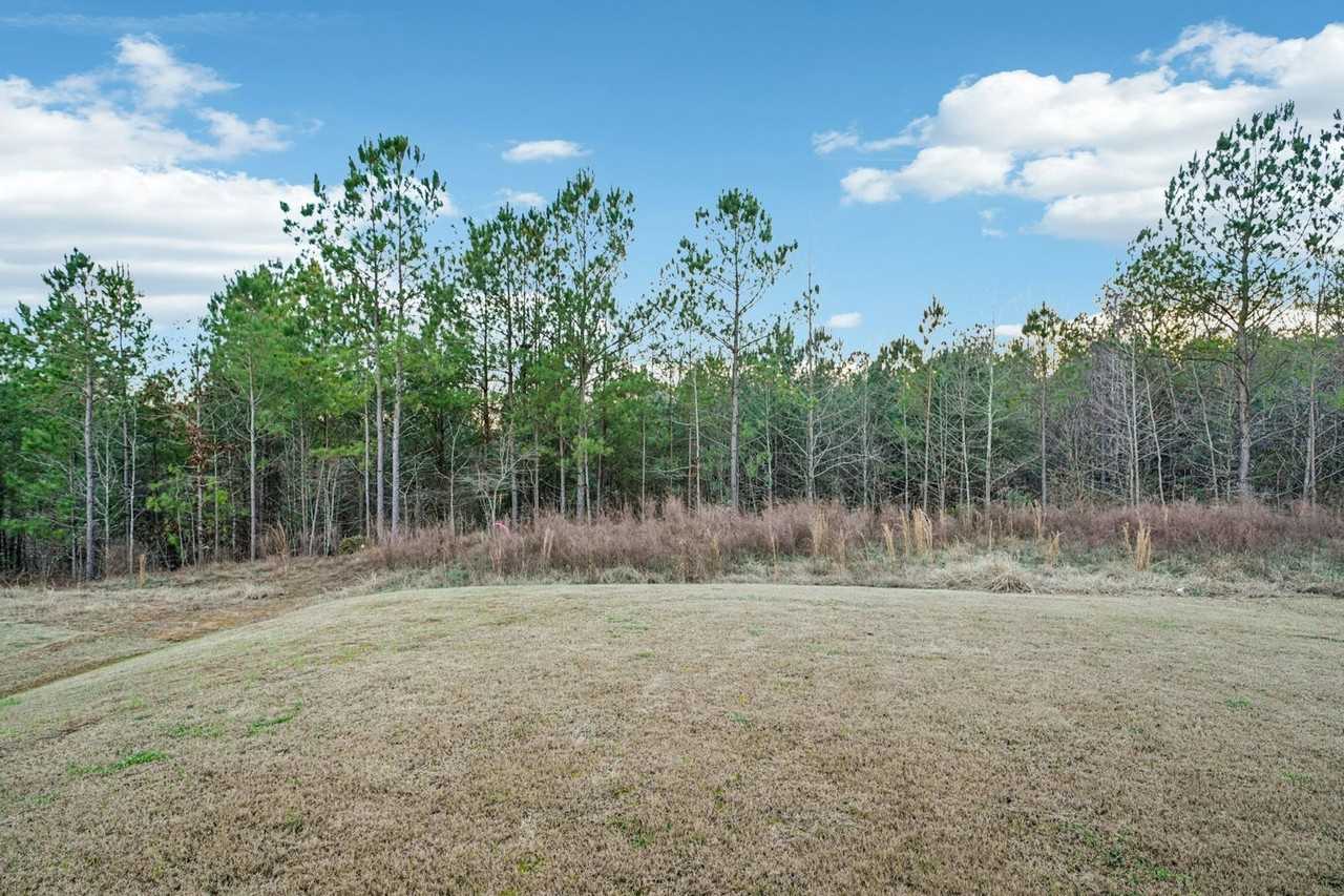 595 Sterling Place - Photo 5 of 50