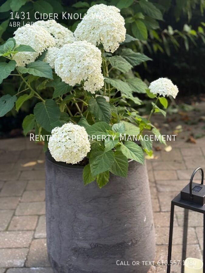 1431 Cider Knoll Way - Photo 3 of 5