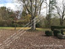 558 Westbrook Rd - Photo 1 of 1