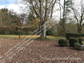 558 Westbrook Rd - Photo 1 of 1