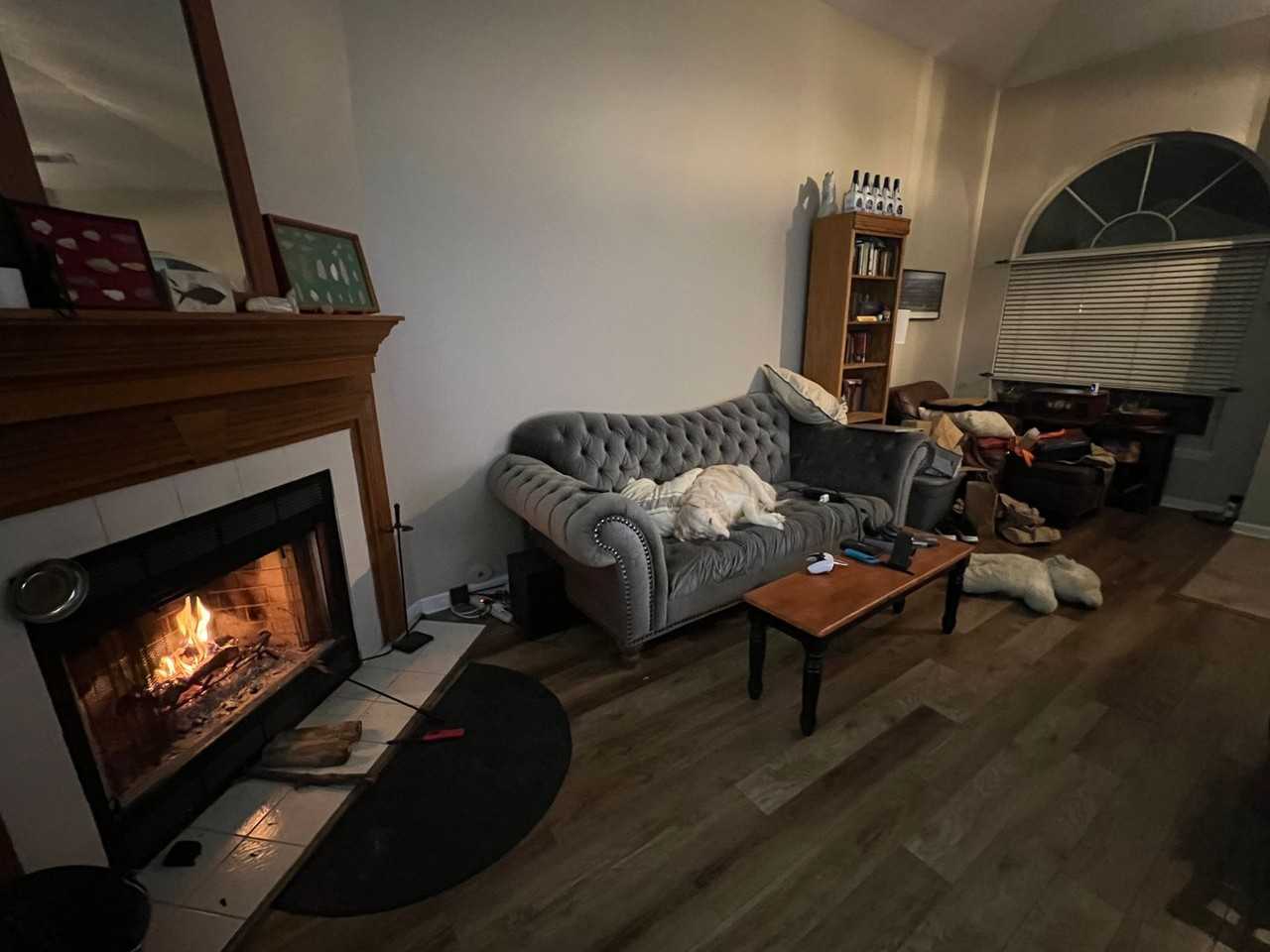 2520 Checkerberry Dr - Photo 3 of 18