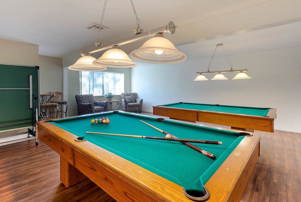 Alpine Village - Photo 4 of 35