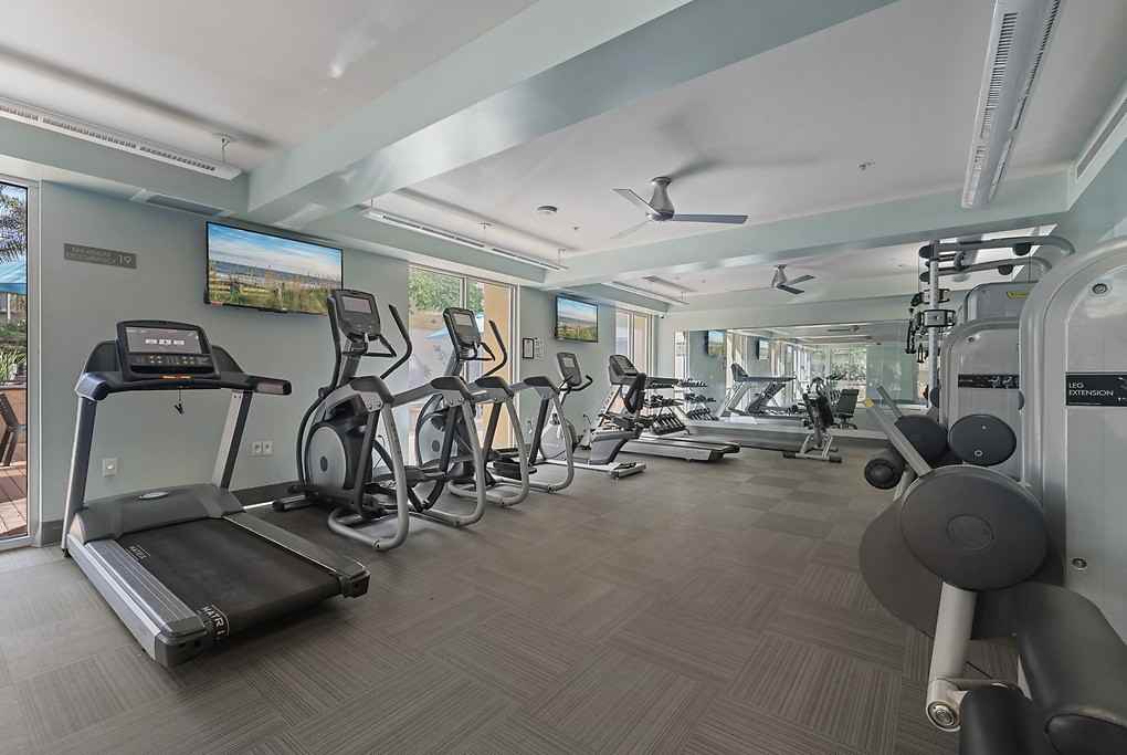 Enso - Photo 6 of 50