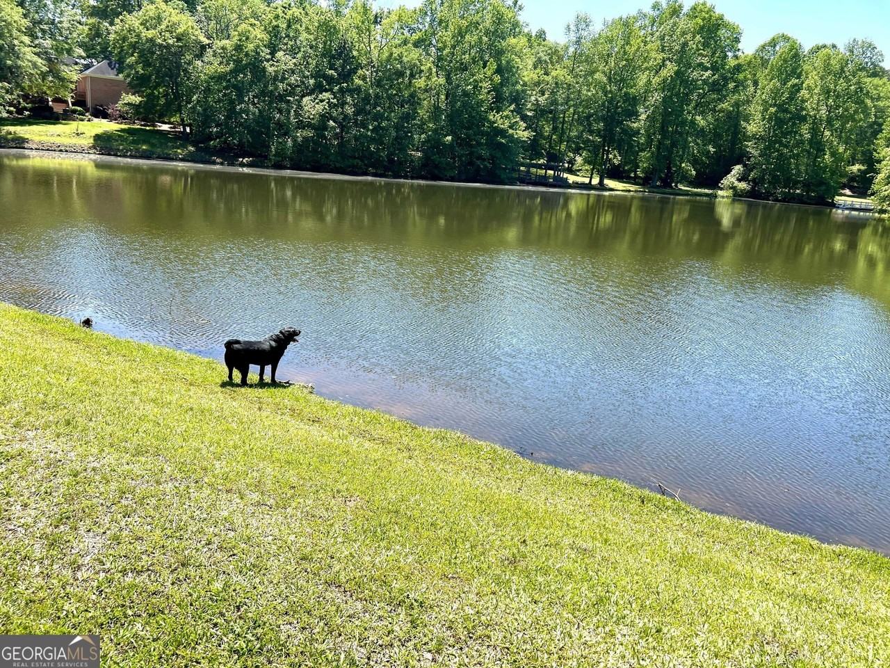 219 Deerhill Dr - Photo 2 of 24