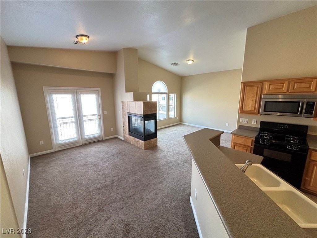 9125 Goose Lake Way #101 - Photo 4 of 39