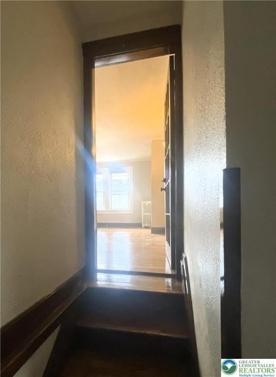 436 Wheeler Ave Apt 3 #3 - Photo 2 of 8