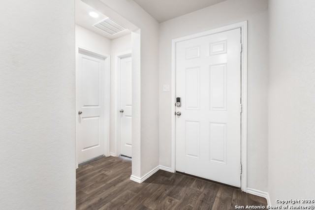 15363 Brown Violetear - Photo 4 of 25