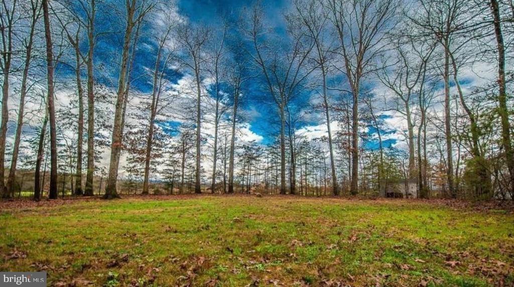 12903 Verrey Ct - Photo 4 of 7