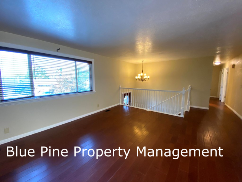 896 Lucille Ave - Photo 5 of 18