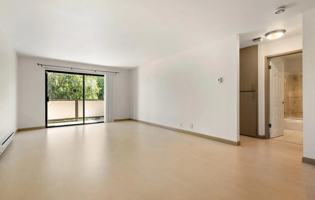 featured image of 250 Willow Ave #421