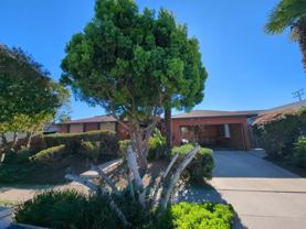 6656 Swan St - Photo 1 of 1