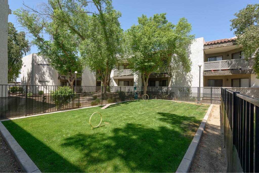 Moxi - Photo 3 of 29