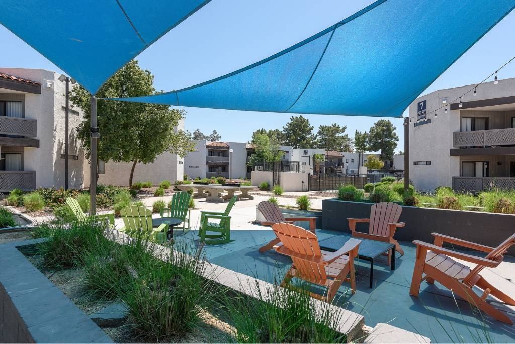 Moxi - Photo 4 of 29